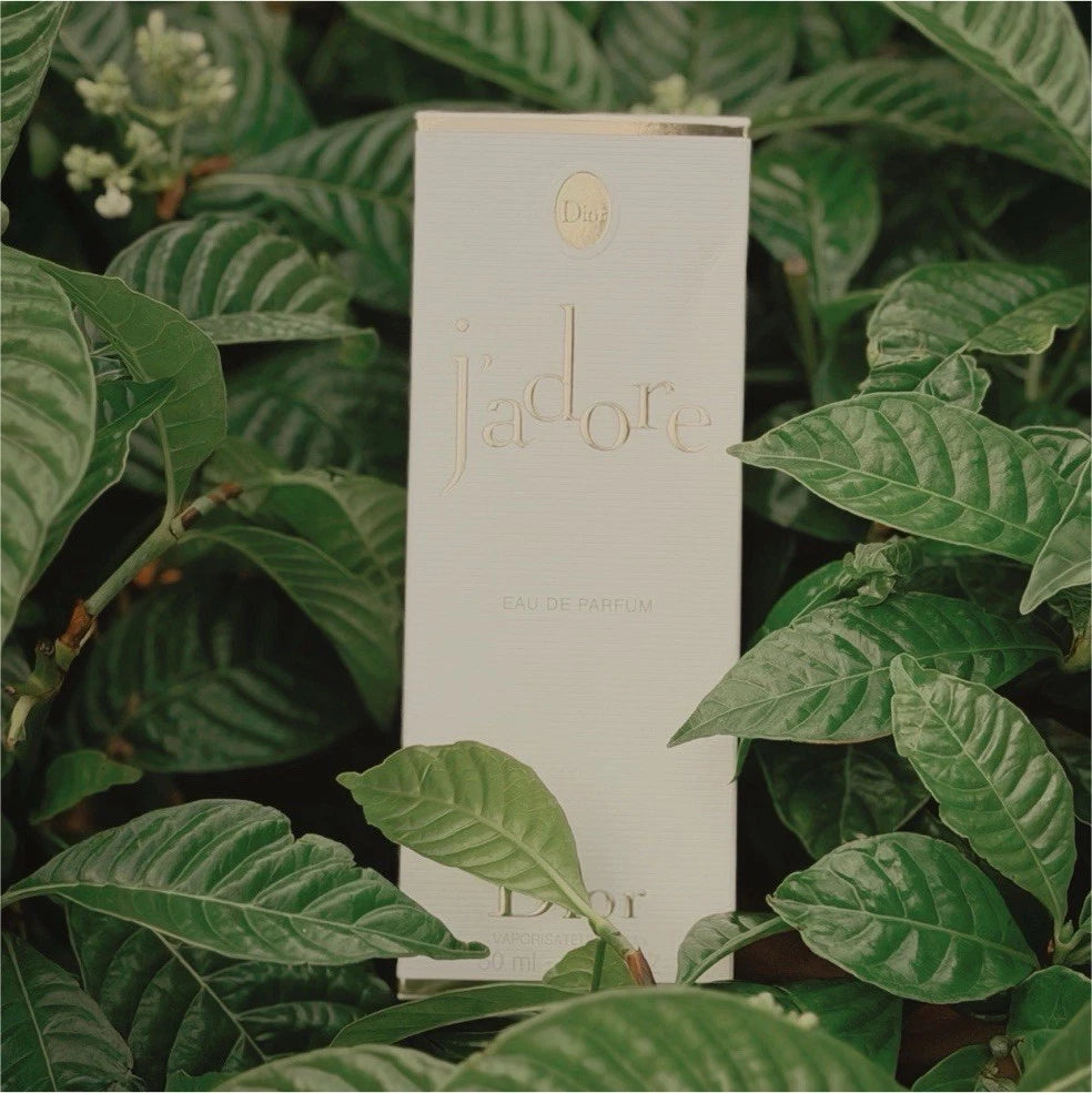 Dior J'adore Eau de Parfum Spray for Women 3.4 oz / 100 ml – NEW IN BOX